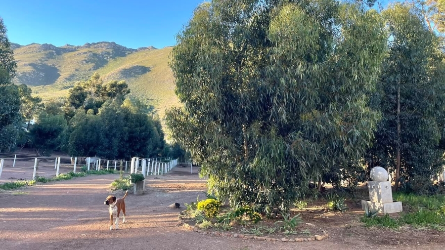 3 Bedroom Property for Sale in Firlands Western Cape